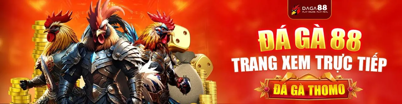 Ứng dụng di động i9top trên điện thoại mang lại trải nghiệm cá cược mượt mà